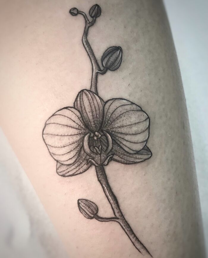 40 Botanical Tattoos That Feel Delicate And Timeless
