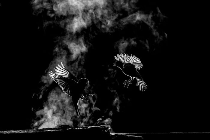 “Ritual da Luz de Fundo”, de Luisa Lynch