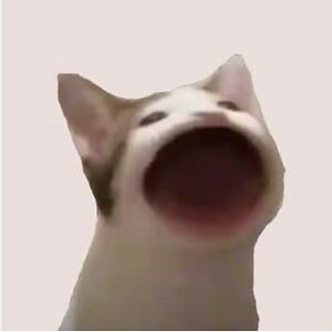 sasha_15 avatar