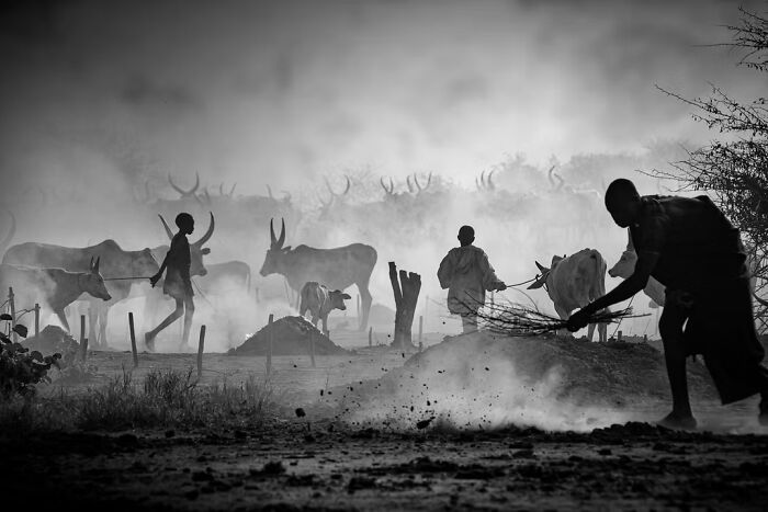 “A Vida de Mundari”, de Svetlin Yosifov