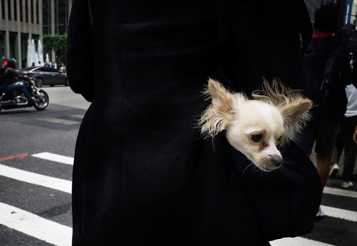 Street Photography Max Marienko