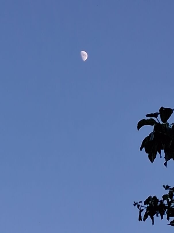 Moon-6a135614a566d.jpg