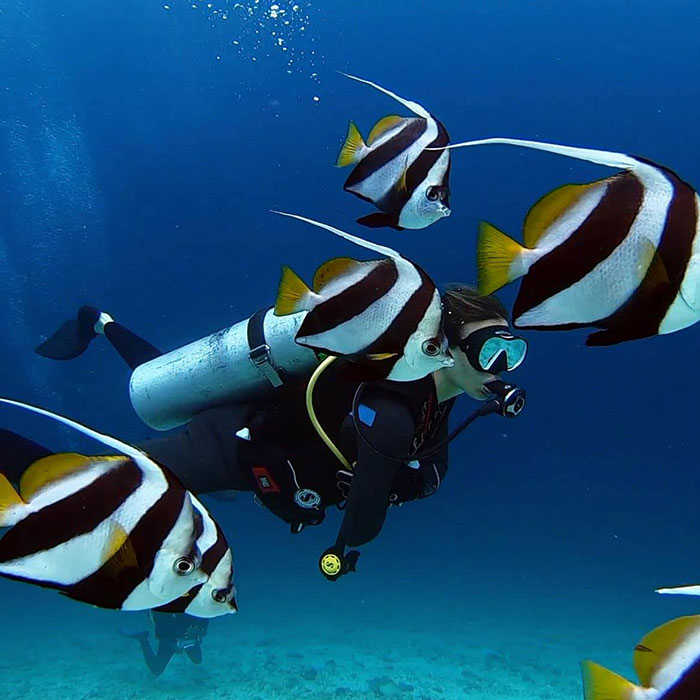 New Detail In Maldives Diving Tragedy Sparks Questions After Missing Tourists Found Inside “Shark Cave” New Detail In Maldives Diving Tragedy Sparks Questions After Missing Tourists Found Inside “Shark Cave”