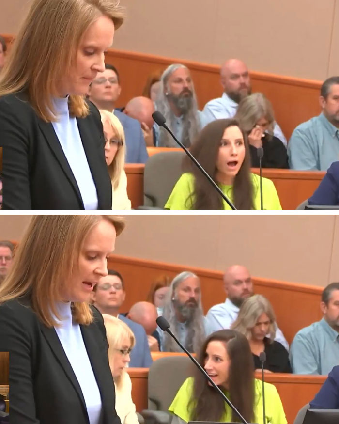 Chilling Chaos As Children’s Author Pulls Faces At Sentencing While Kids Detail How She Ended Pets’ Lives In Horrific Revelations