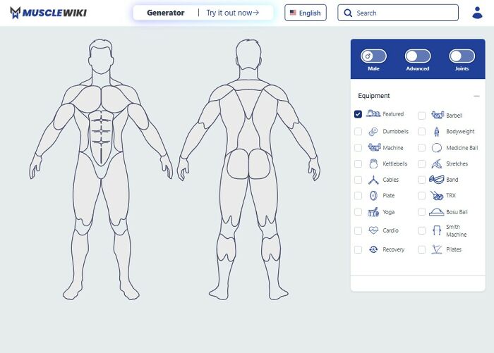 A MuscleWiki website screenshot showing male muscle diagrams and a list of gym equipment. One of the most interesting websites.