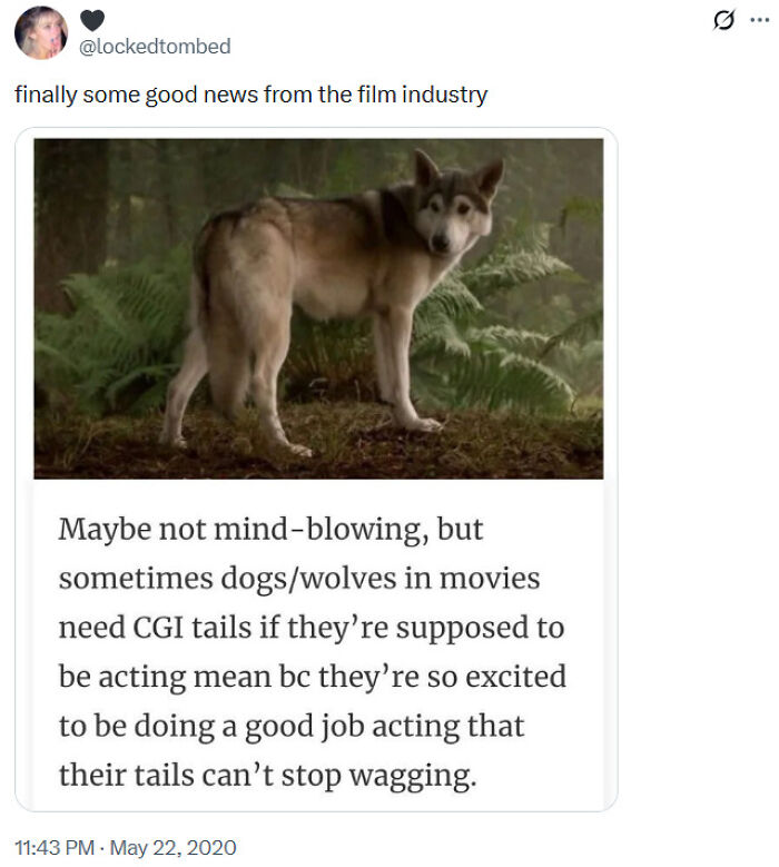 Dog wolf in movie with CGI tail animal memes