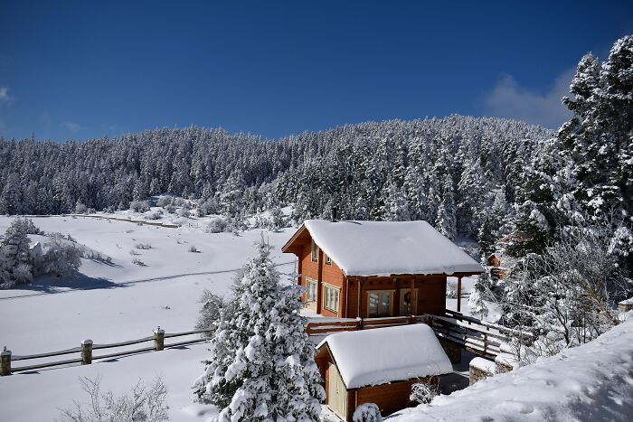 Snow-covered cabin in forest with snow-laden trees stunning winter views
