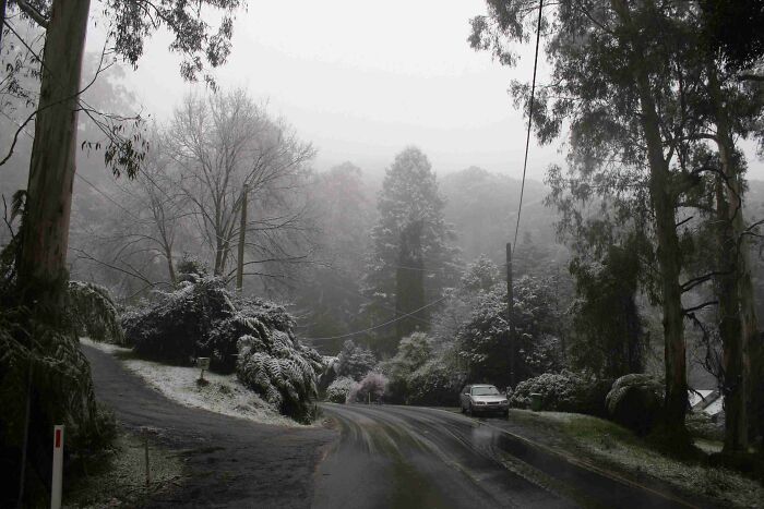 Winter forest road with snow and fog, showcasing stunning views of nature