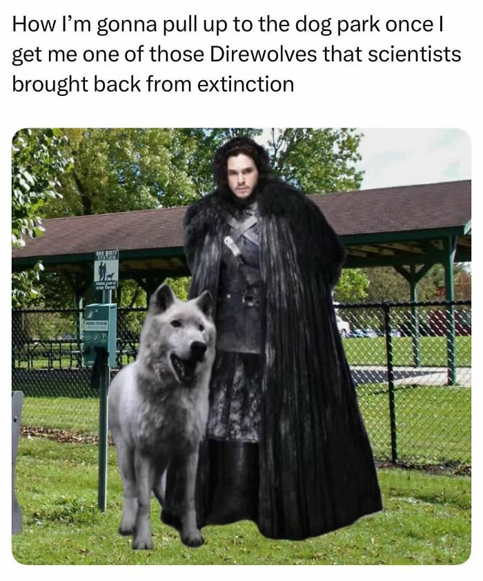 These Dog Memes Perfectly Capture The Chaos, Wholesomeness, And Pure Randomness Of Life With Dogs