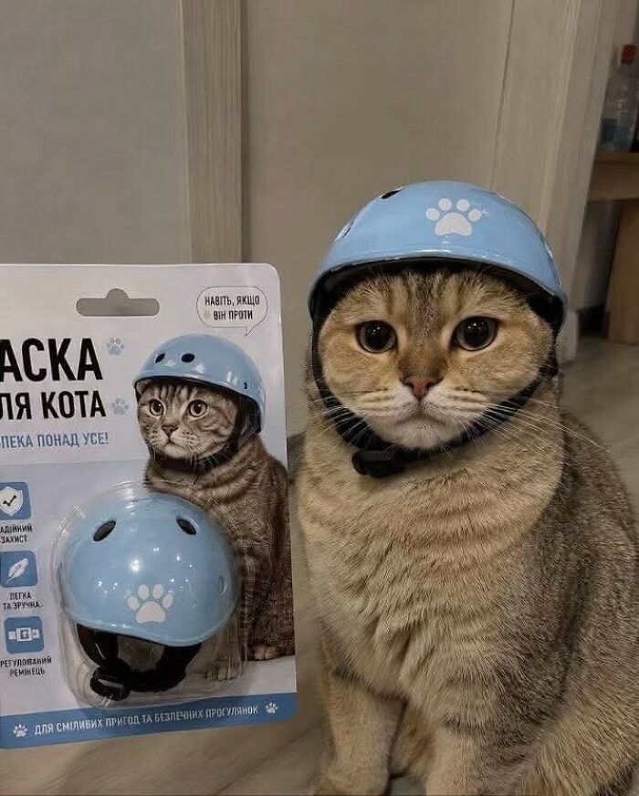 These Important Animal Pics Are Here To Make Your Day A Little Better (37 New Pics)