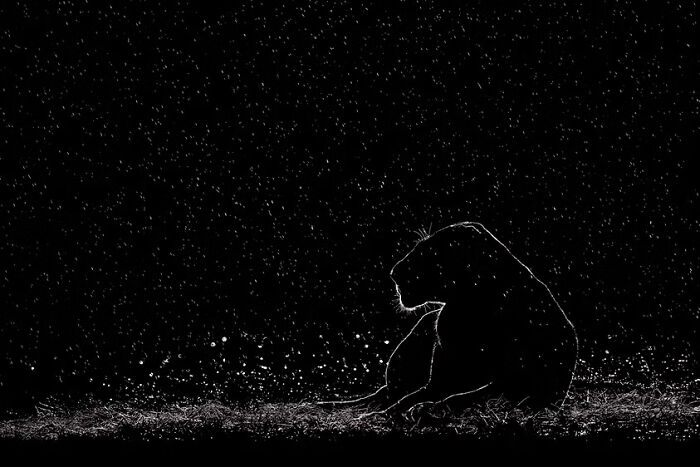 “Fortitude” de Preet e Prashant Chacko