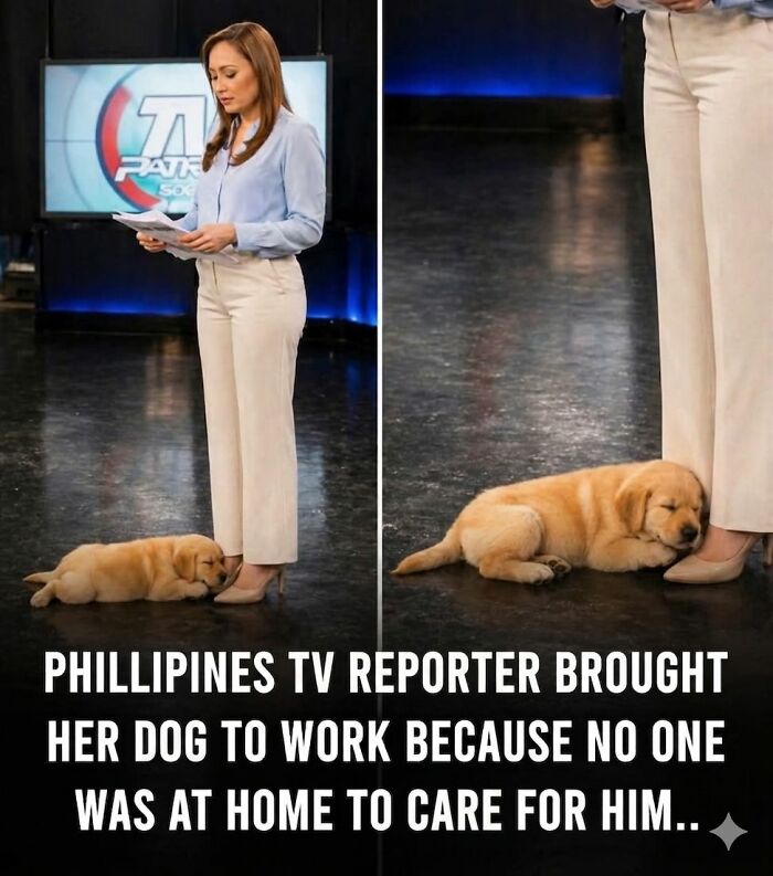 This Facebook Page With Over Half A Million Followers Is Sharing Some Of The Most Heartwarming Animal Stories Online (25 Pics)