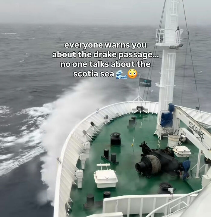 Travel Blogger Aboard Hantavirus-Stricken Cruise Trolled With Cruel Comments For 'Awkward' Video