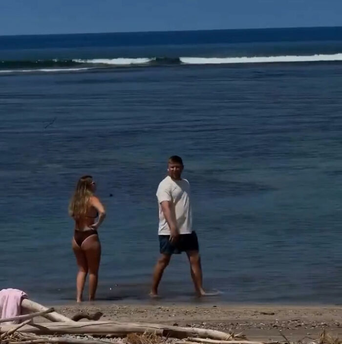 Entitled Tourist Yells "I'm Rich" After Throwing Rock At Beloved Seal, Local Gives Him Instant Karma