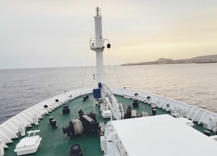 Hantavirus Panic Hits US As Returned Cruise Passengers Now Being Monitored Amid Confirmed Infections In Europe