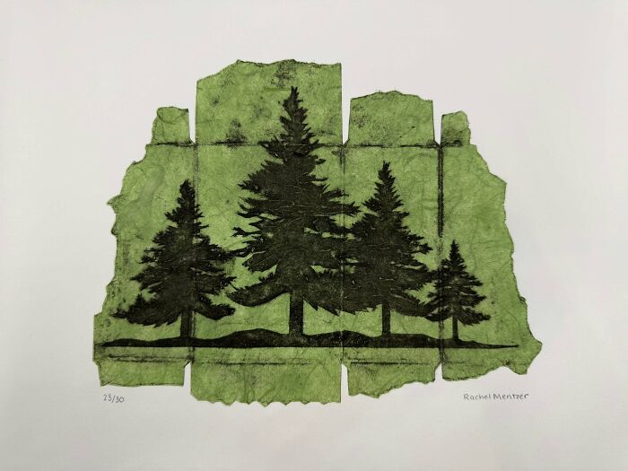 Fragmented Forest