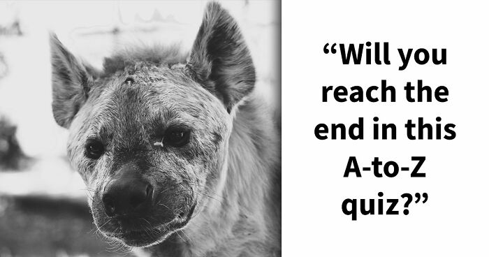 Test Your General Knowledge Skills With 26 Questions Ranging From A To Z