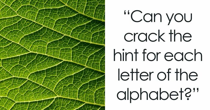 Test Your General Knowledge Skills With 26 Questions Ranging From A To Z