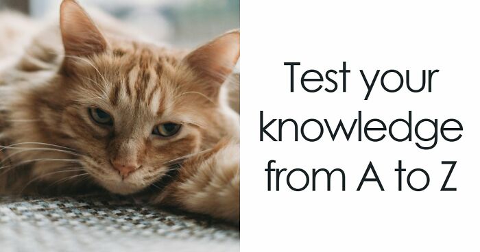 Test Your General Knowledge Skills With 26 Questions Ranging From A To Z