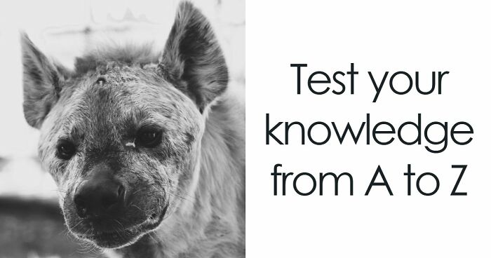 Test Your General Knowledge Skills With 26 Questions Ranging From A To Z