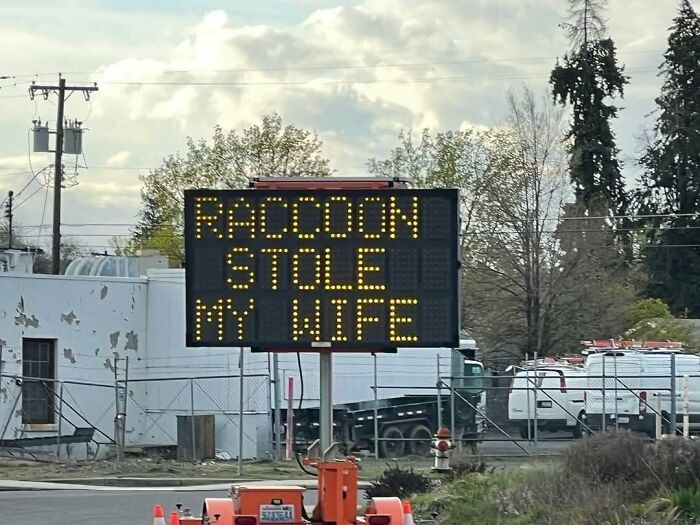Electronic road sign humorously stating raccoon stole my wife