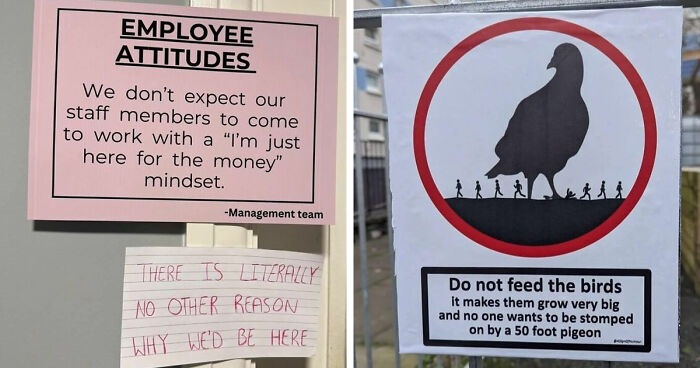 84 Hilariously Absurd Signs That Were Not Helpful At All, But No One Was Mad About It