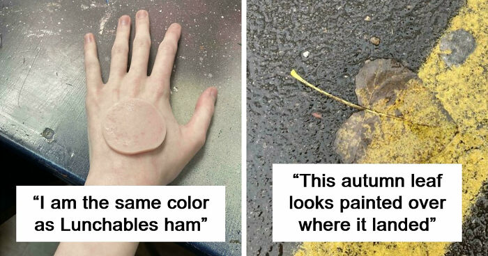 71 Satisfying Photos Of Accidental Color Matches That May Lower Your Cortisol Levels