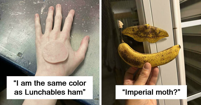 71 Satisfying Photos Of Accidental Color Matches That May Lower Your Cortisol Levels