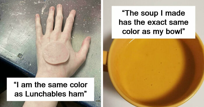 71 Satisfying Photos Of Accidental Color Matches That May Lower Your Cortisol Levels