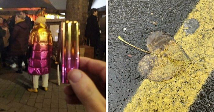 71 Satisfying Photos Of Accidental Color Matches That May Lower Your Cortisol Levels