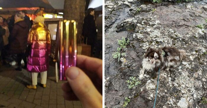 71 Satisfying Photos Of Accidental Color Matches That May Lower Your Cortisol Levels