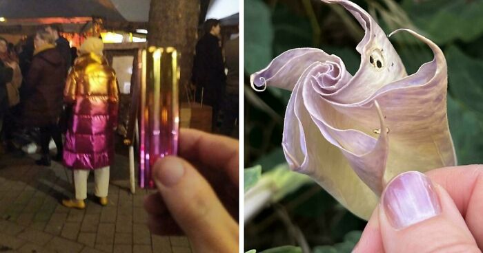 71 Satisfying Photos Of Accidental Color Matches That May Lower Your Cortisol Levels