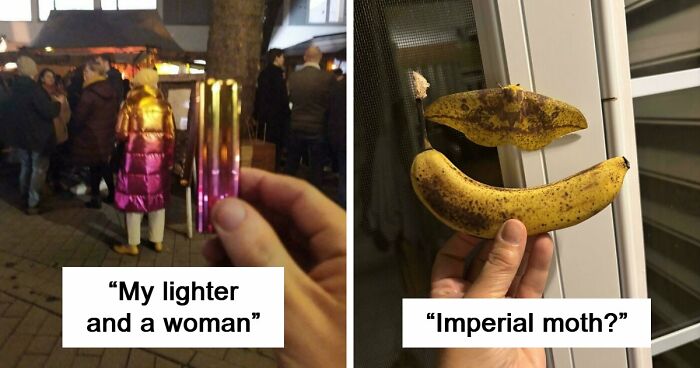 71 Satisfying Photos Of Accidental Color Matches That May Lower Your Cortisol Levels