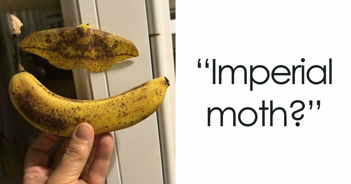 71 Satisfying Photos Of Accidental Color Matches That May Lower Your Cortisol Levels