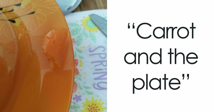 71 Satisfying Photos Of Accidental Color Matches That May Lower Your Cortisol Levels
