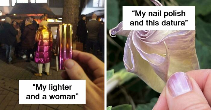 71 Satisfying Photos Of Accidental Color Matches That May Lower Your Cortisol Levels