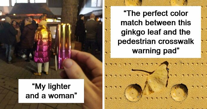 71 Satisfying Photos Of Accidental Color Matches That May Lower Your Cortisol Levels