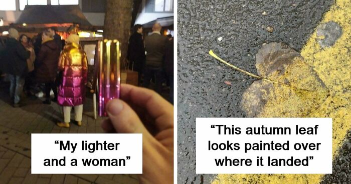 71 Satisfying Photos Of Accidental Color Matches That May Lower Your Cortisol Levels
