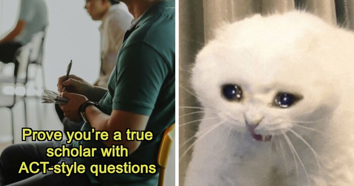 If You Can Ace This Challenging 20-Question Quiz, You Surpass Most College Freshmen