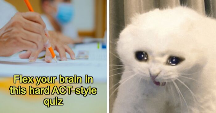 If You Can Ace This Challenging 20-Question Quiz, You Surpass Most College Freshmen