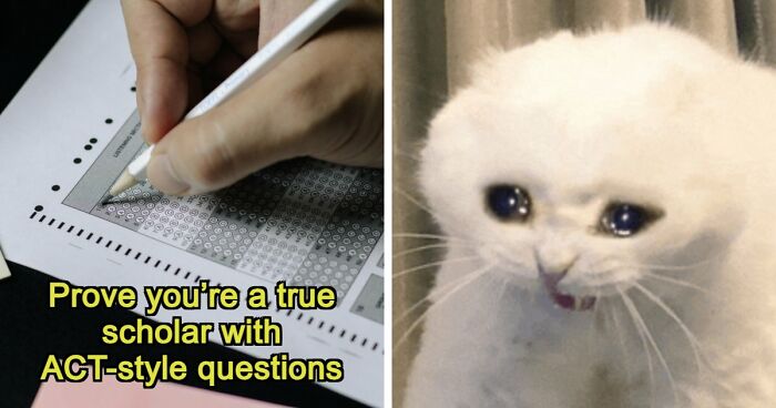 If You Can Ace This Challenging 20-Question Quiz, You Surpass Most College Freshmen
