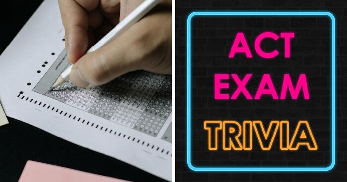 If You Can Ace This Challenging 20-Question Quiz, You Surpass Most College Freshmen