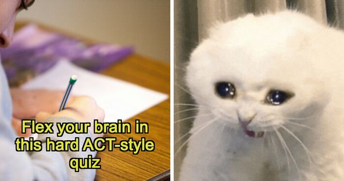 If You Can Ace This Challenging 20-Question Quiz, You Surpass Most College Freshmen