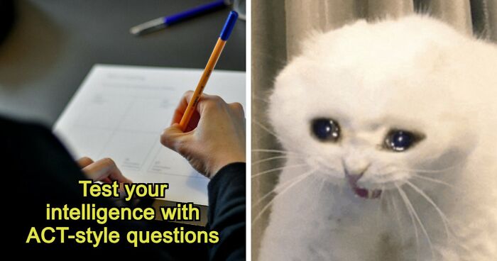 If You Can Ace This Challenging 20-Question Quiz, You Surpass Most College Freshmen