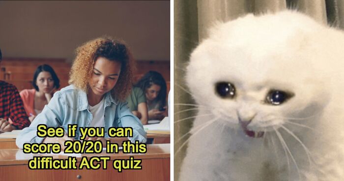 If You Can Ace This Challenging 20-Question Quiz, You Surpass Most College Freshmen