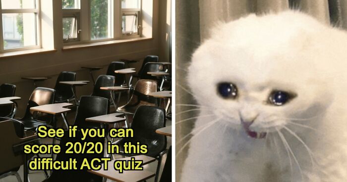If You Can Ace This Challenging 20-Question Quiz, You Surpass Most College Freshmen
