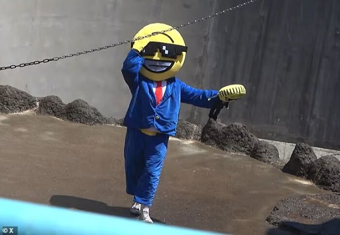 Turista americano fantasiado de emoji dentro do recinto do Punch The Monkey