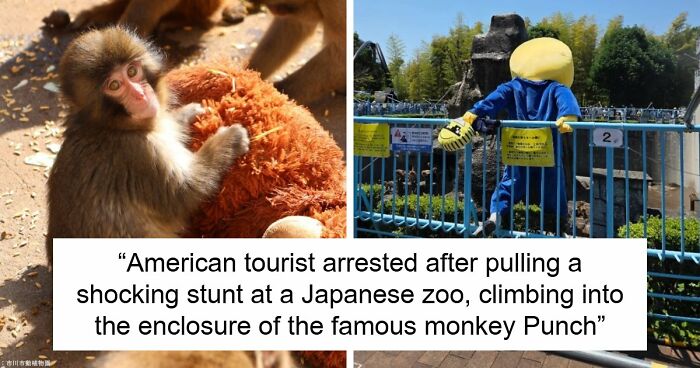 American Tourists Put Behind Bars For Entering Punch The Monkey’s Enclosure Wearing Emoji Costumes