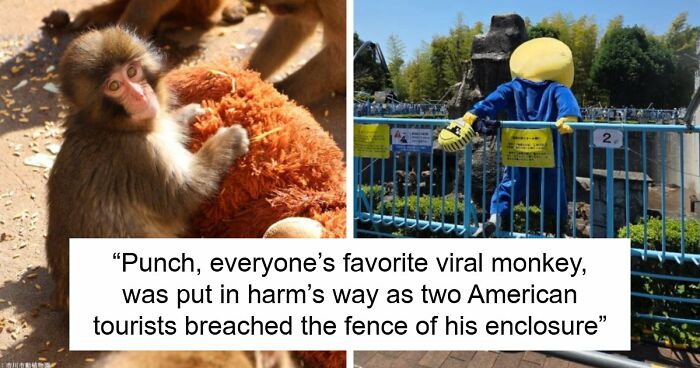 American Tourists Put Behind Bars For Entering Punch The Monkey’s Enclosure Wearing Emoji Costumes