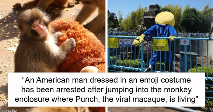 American Tourists Put Behind Bars For Entering Punch The Monkey’s Enclosure Wearing Emoji Costumes